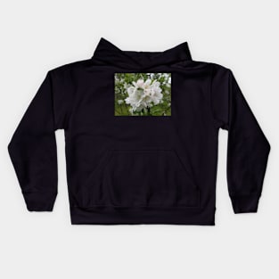 Wet White Tree Flowers 2 Kids Hoodie